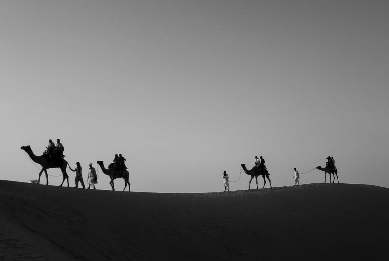 Dubai Desert Safari Guide: Morning vs Evening, Types and What to Expect
